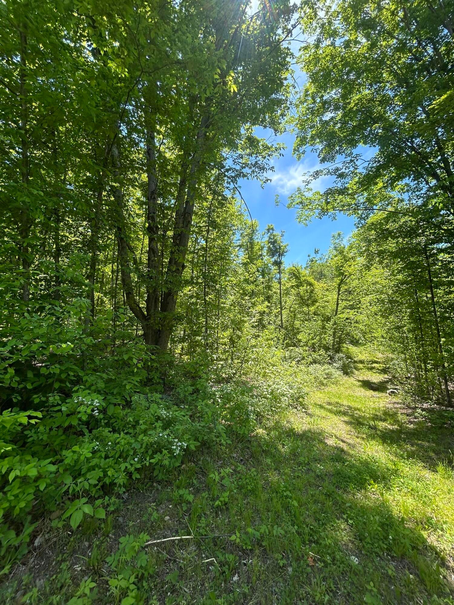 1510 Rogers Road Fairview, MI 48621 - Photo 55 of 61 Gallery Image 55