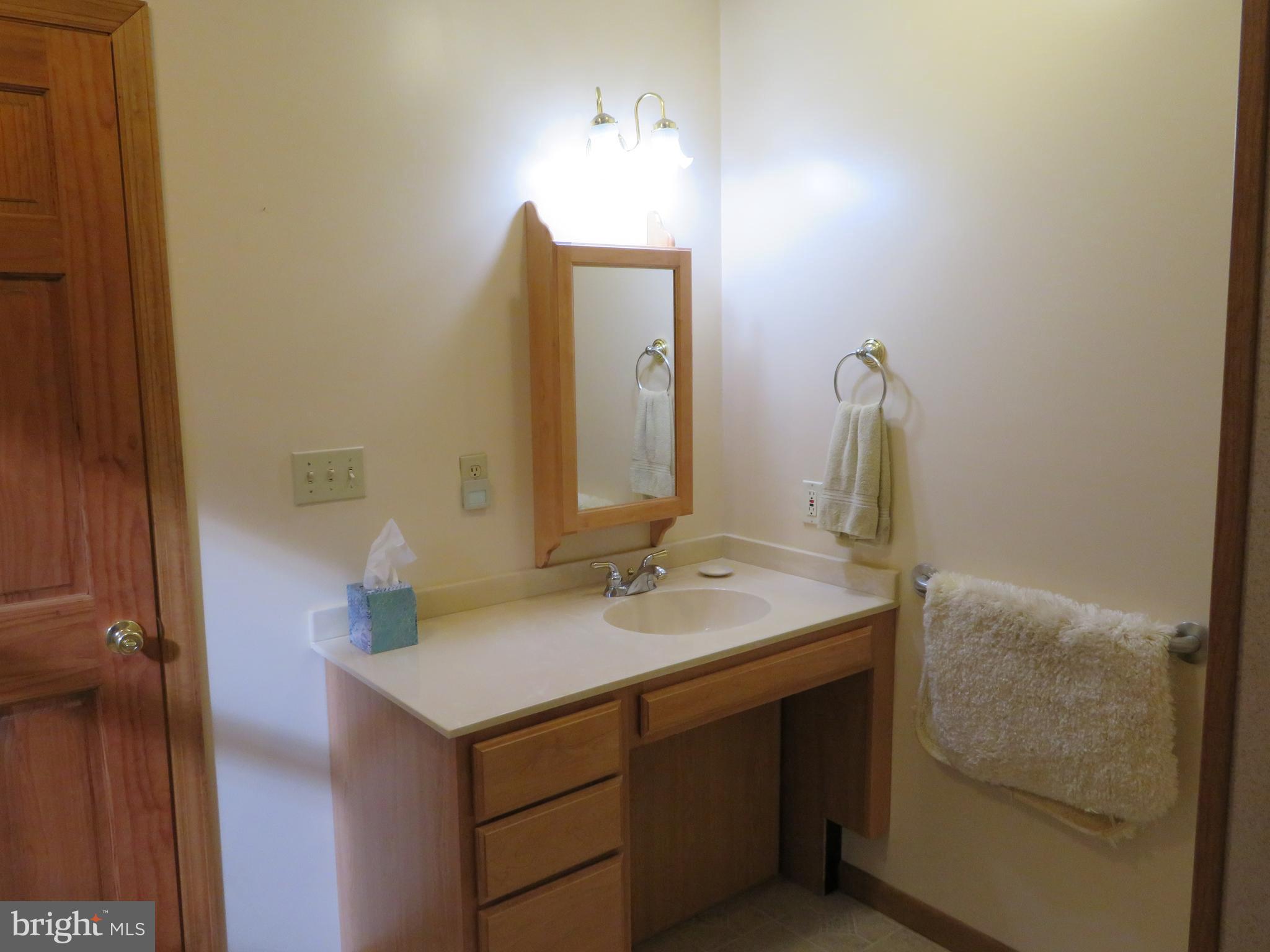 759 Principio Road Port Deposit, MD 21904 - Photo 22 of 49 Master bath-main level, wheelchair accessible