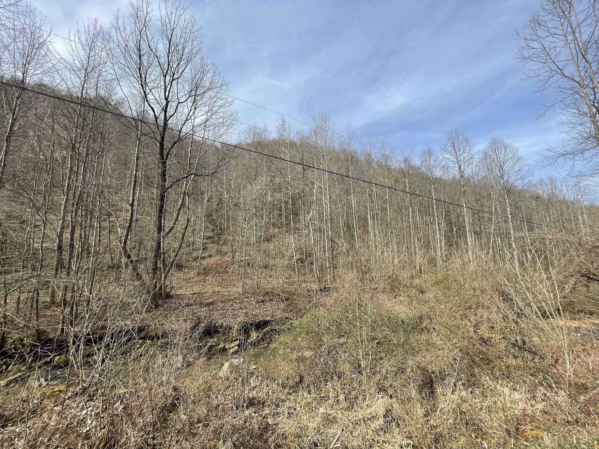 9999 Trace Branch Road Walker, KY 40997 - Photo 13 of 25 IMG_6498