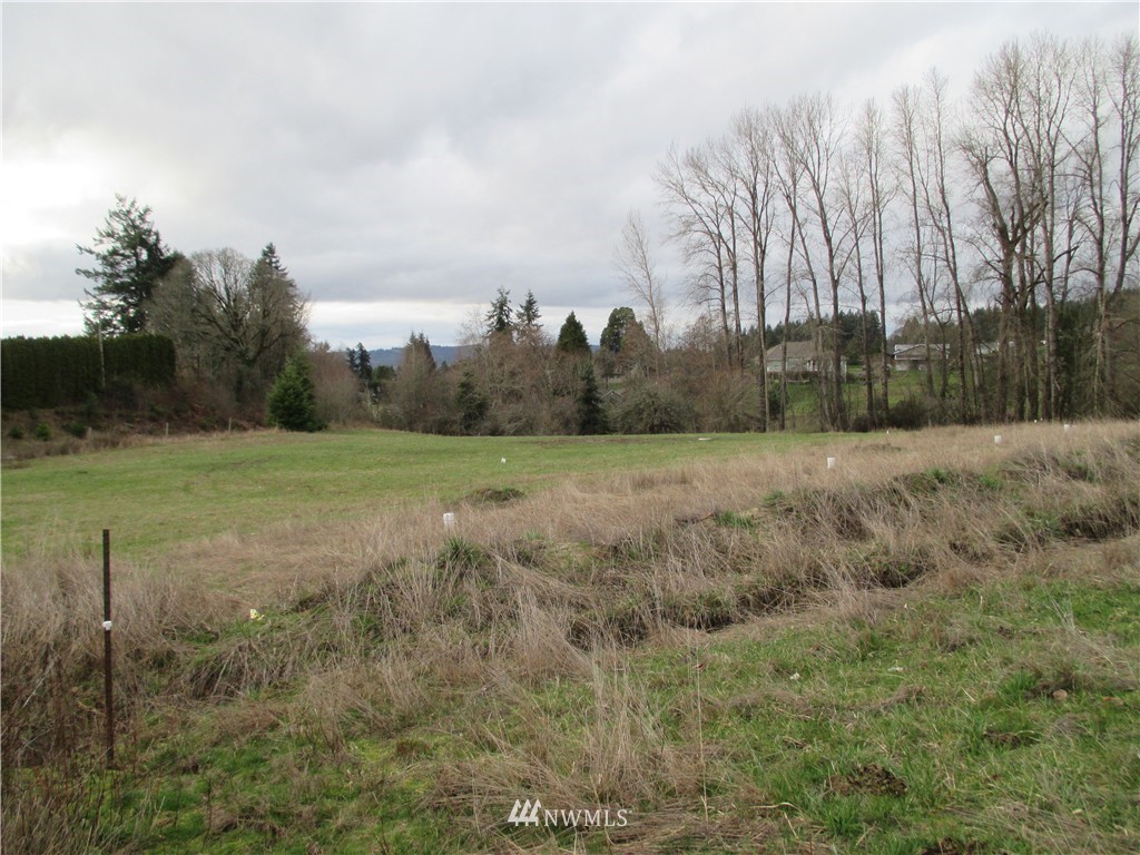 101 Sauer Road Kalama, WA 98625 - Photo 3 of 3 Gallery Image 3