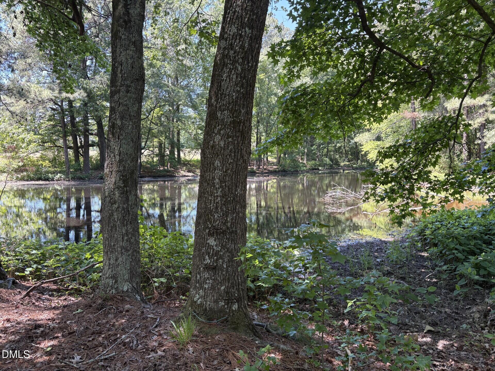 1 Cornwallis Road Garner, NC 27529 - Photo 7 of 7 POND - Cornwallis