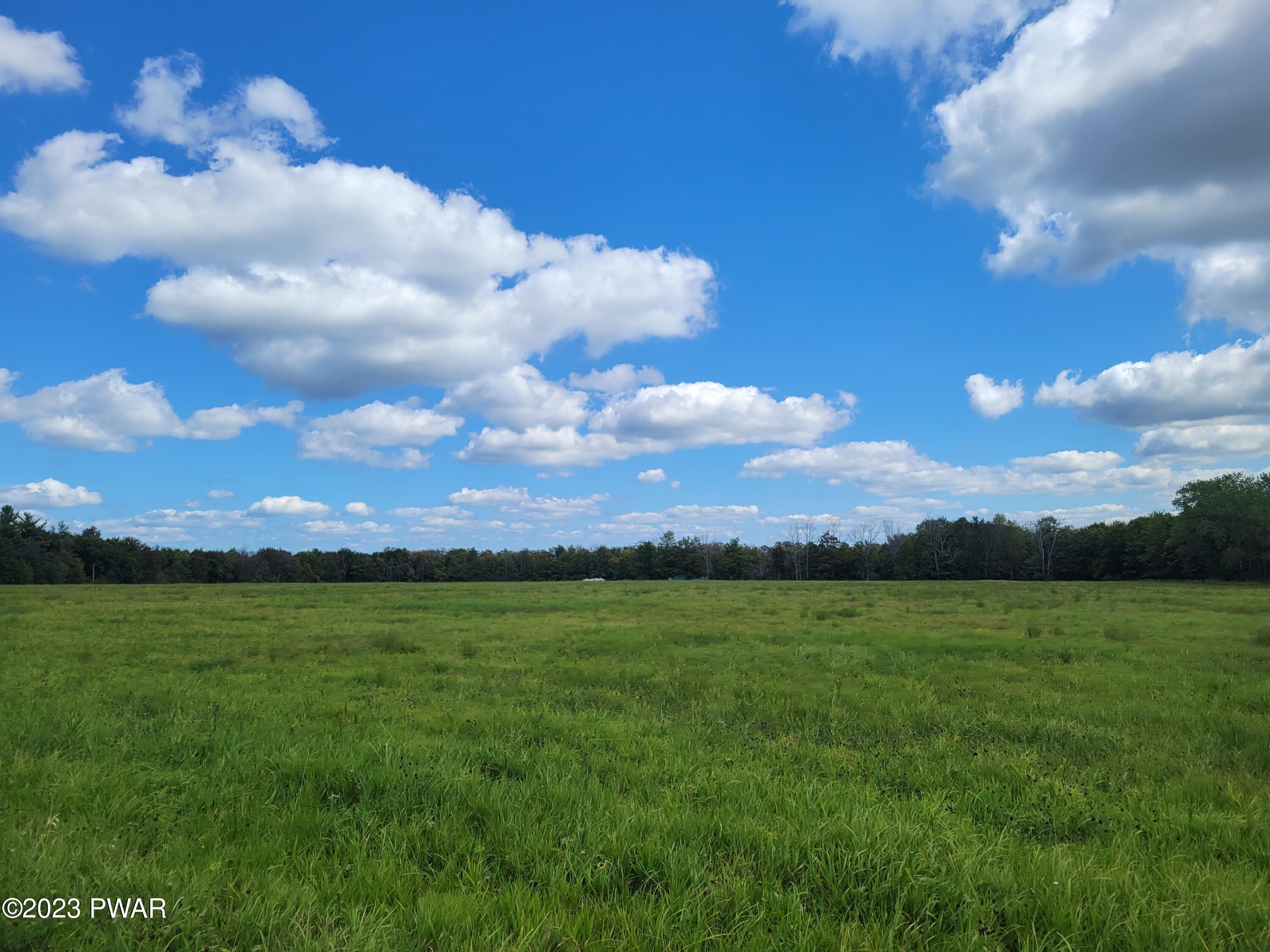 North Road Pleasant Mount, PA 18453 - Photo 1 of 5