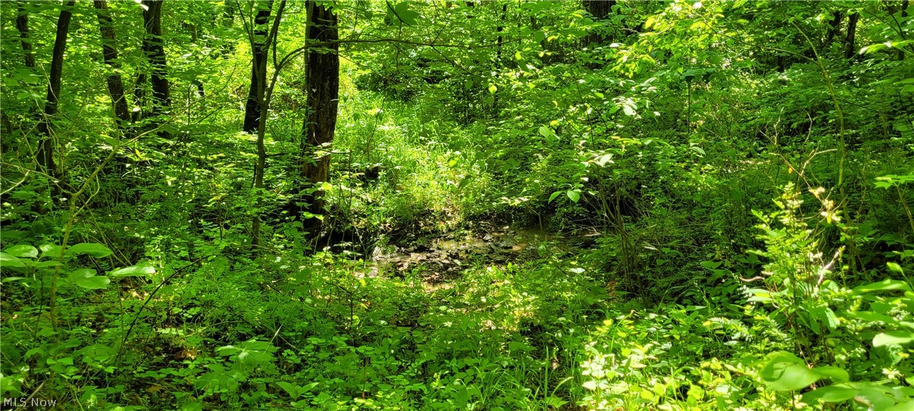 Hollis Clark Road Caldwell, OH 43724 - Photo 37 of 49