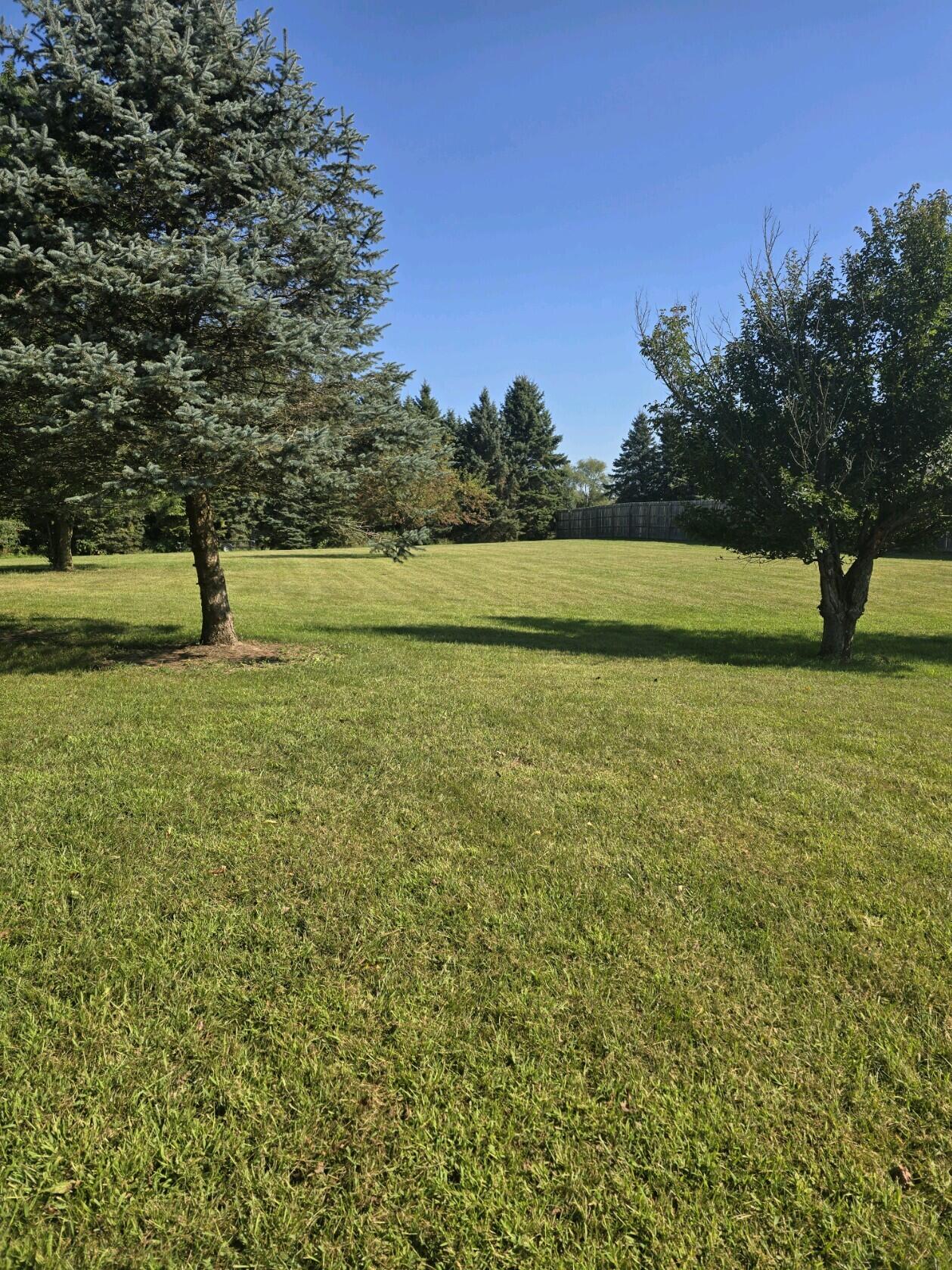 4194 Farrel Road Hastings, MI 49058 - Photo 15 of 41 Yard 2