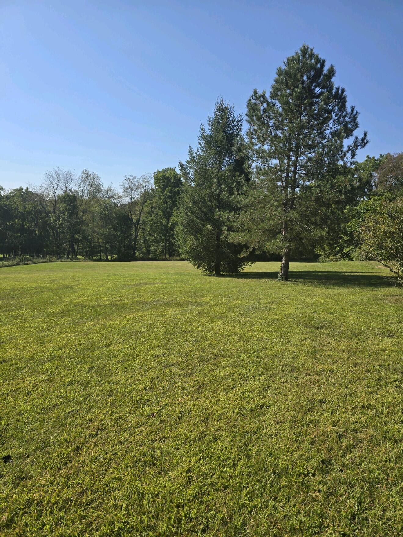 4194 Farrel Road Hastings, MI 49058 - Photo 16 of 41 Yard 3
