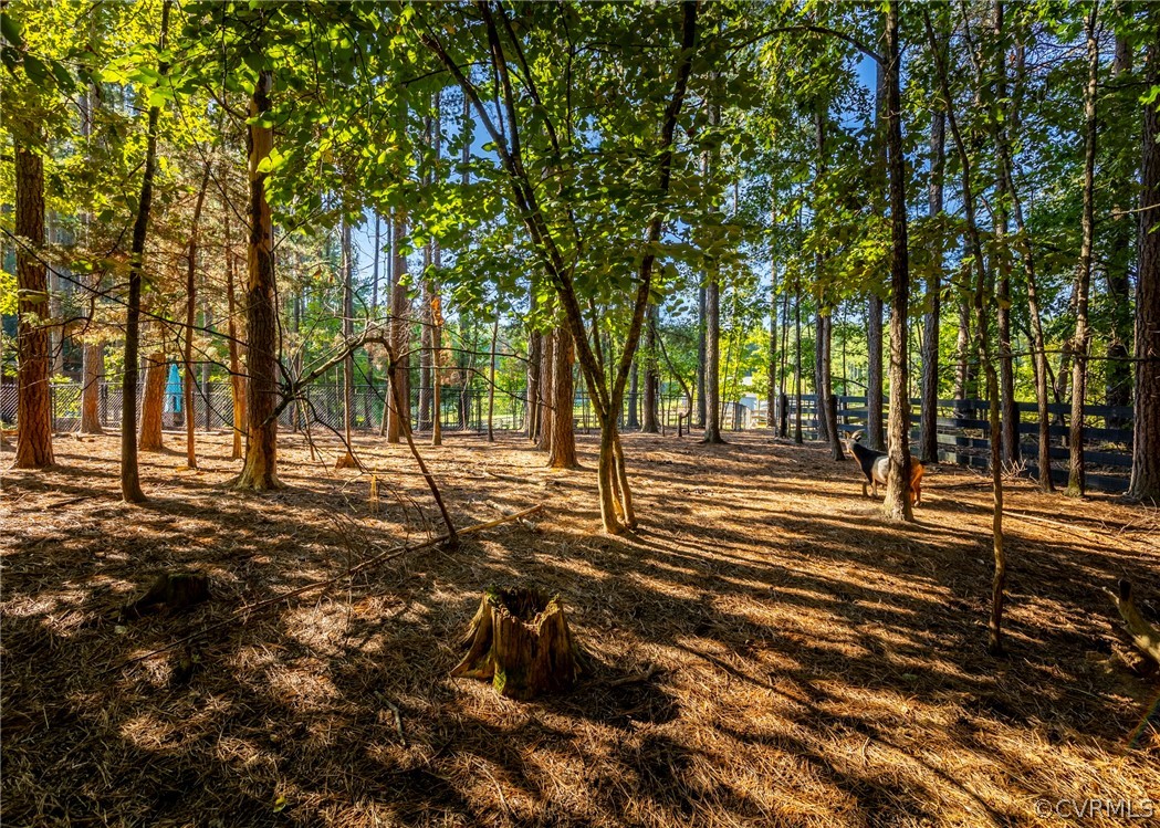 5776 Moore Creek Road Powhatan, VA 23139 - Photo 15 of 45 a view of road with trees