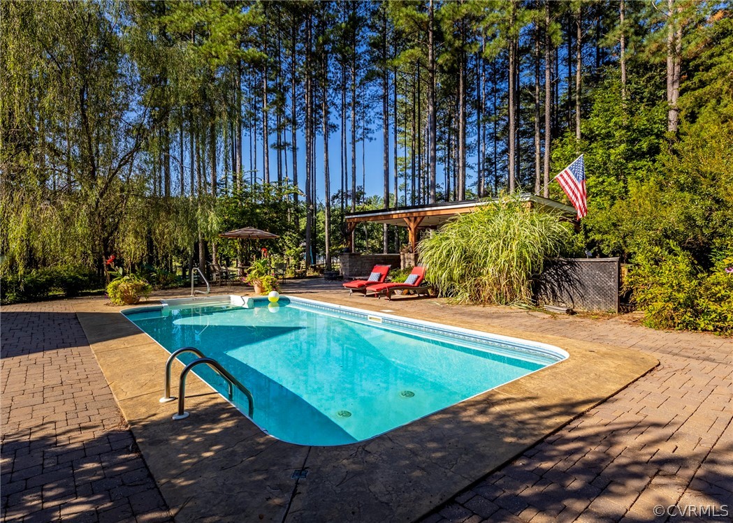 5776 Moore Creek Road Powhatan, VA 23139 - Photo 8 of 45 swimming pool view with plants and trees