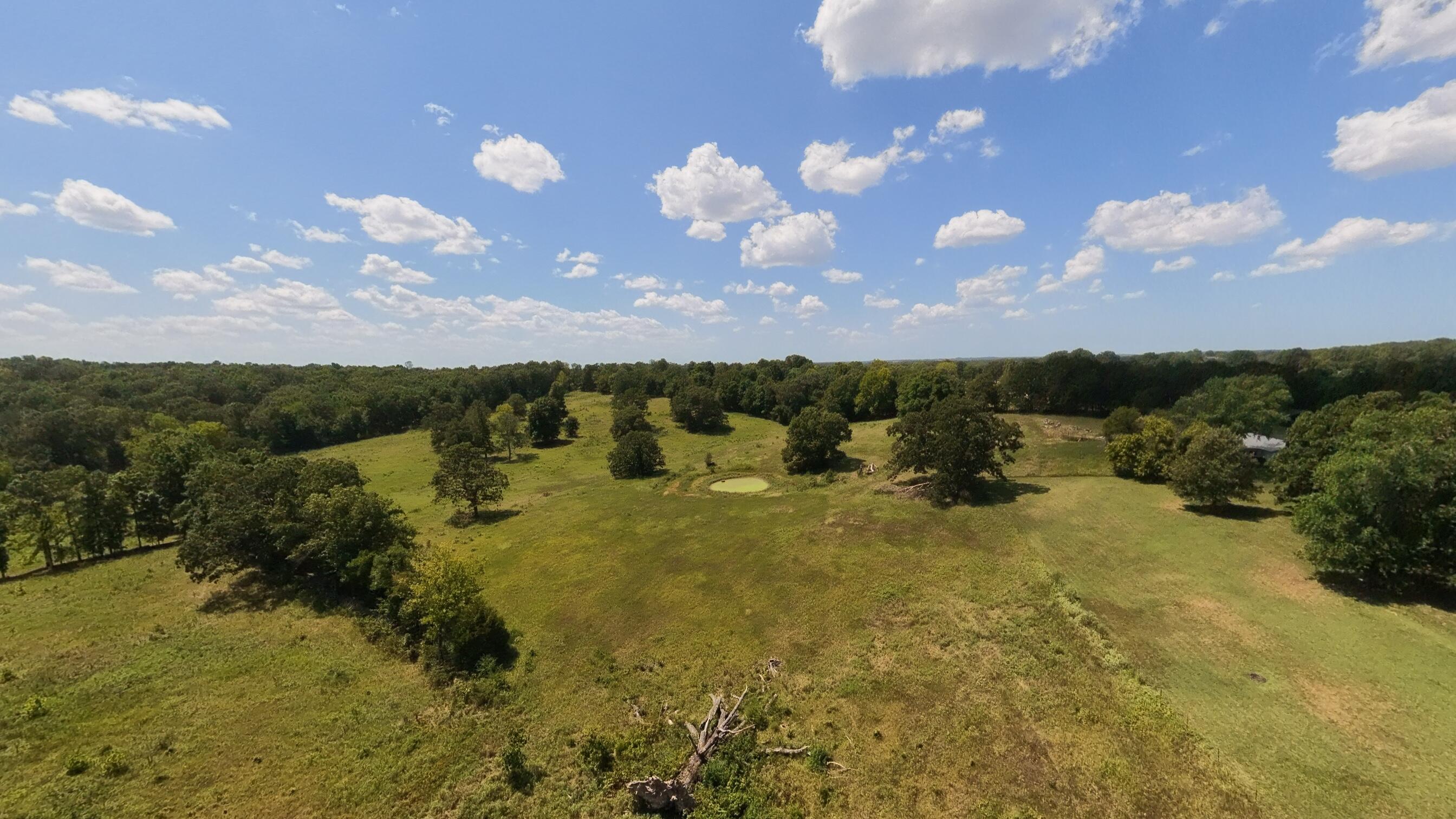 0 Bamber Street Mammoth Spring, AR 72554 - Photo 6 of 39 32+_- Acres004