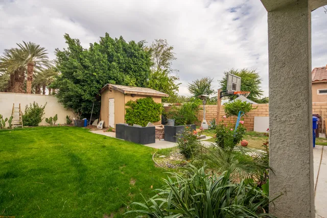 a view of a yard with palm trees