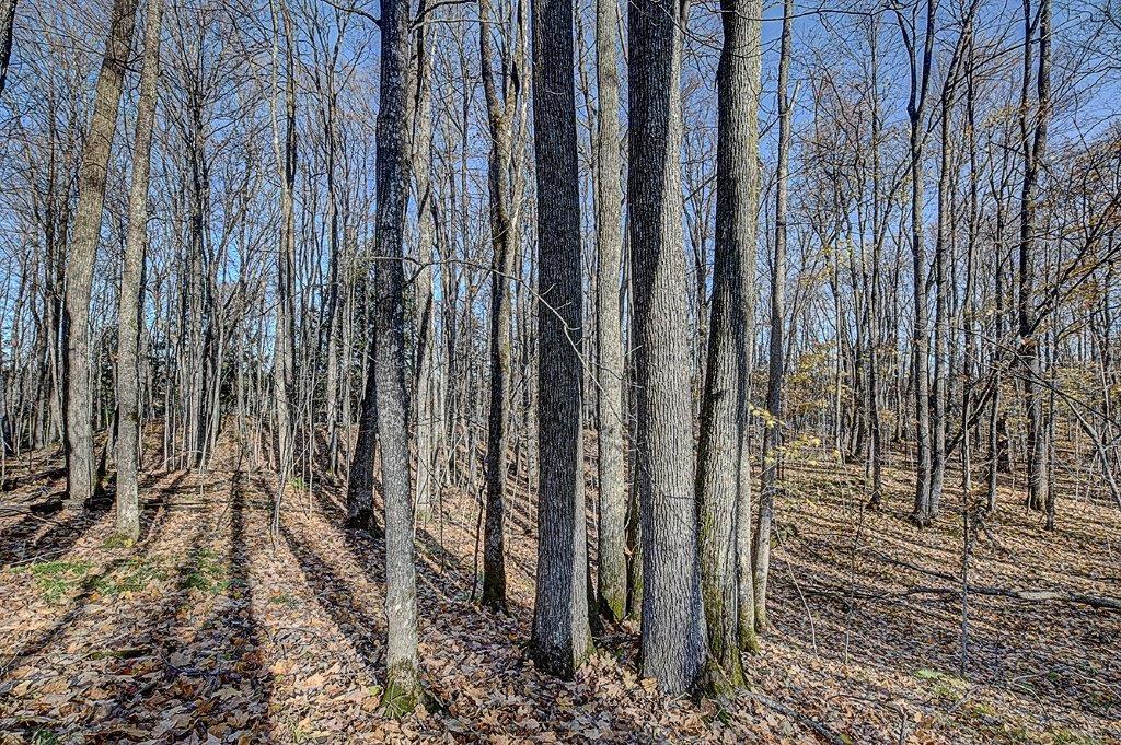 On Timber Wolf Road, Unit LOT #31 Presque Isle, WI 54557 - Photo 11 of 13 Gallery Image 11