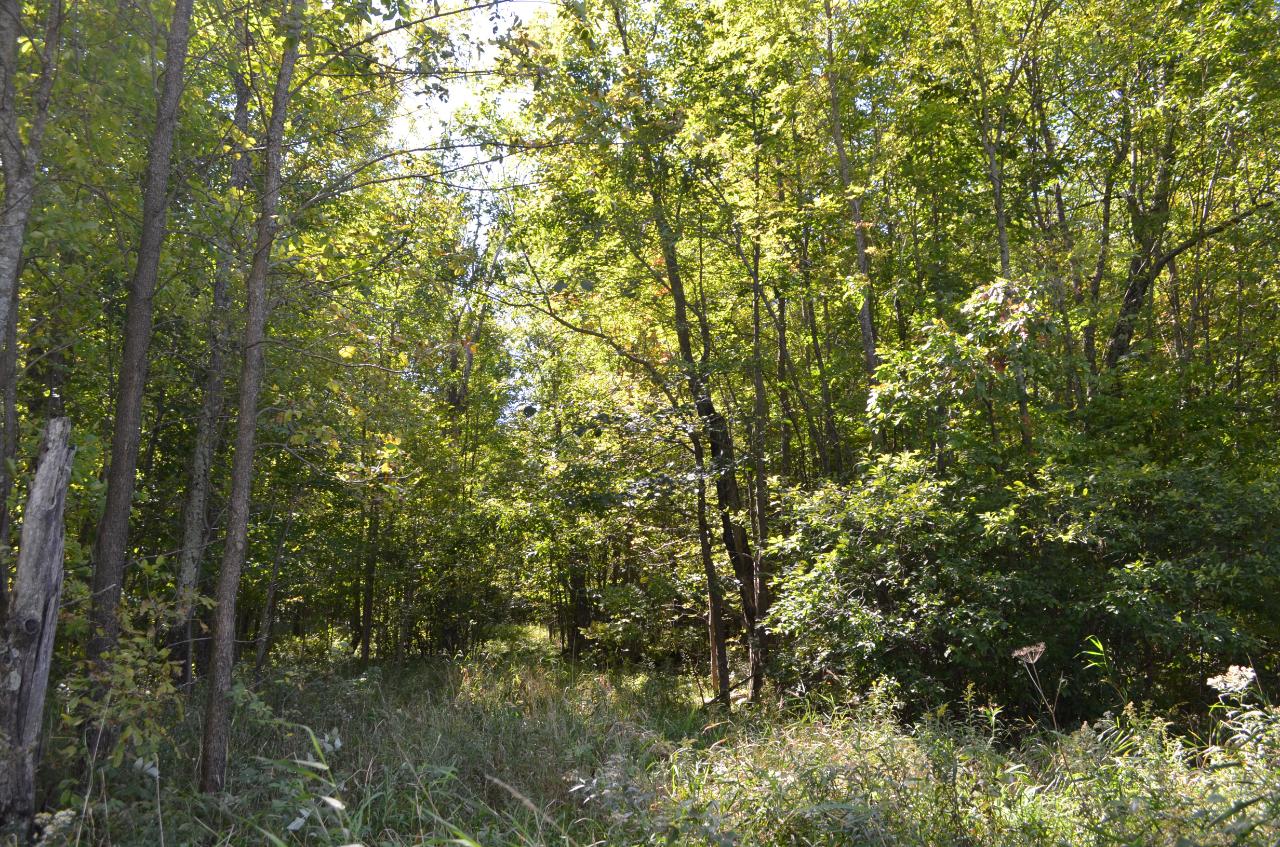 Near Harmony Road Brantwood, WI 54513 - Photo 9 of 23 Gallery Image 9