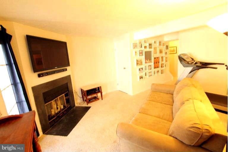 1603 Fieldthorn Drive Reston, VA 20194 - Photo 12 of 29 Basement