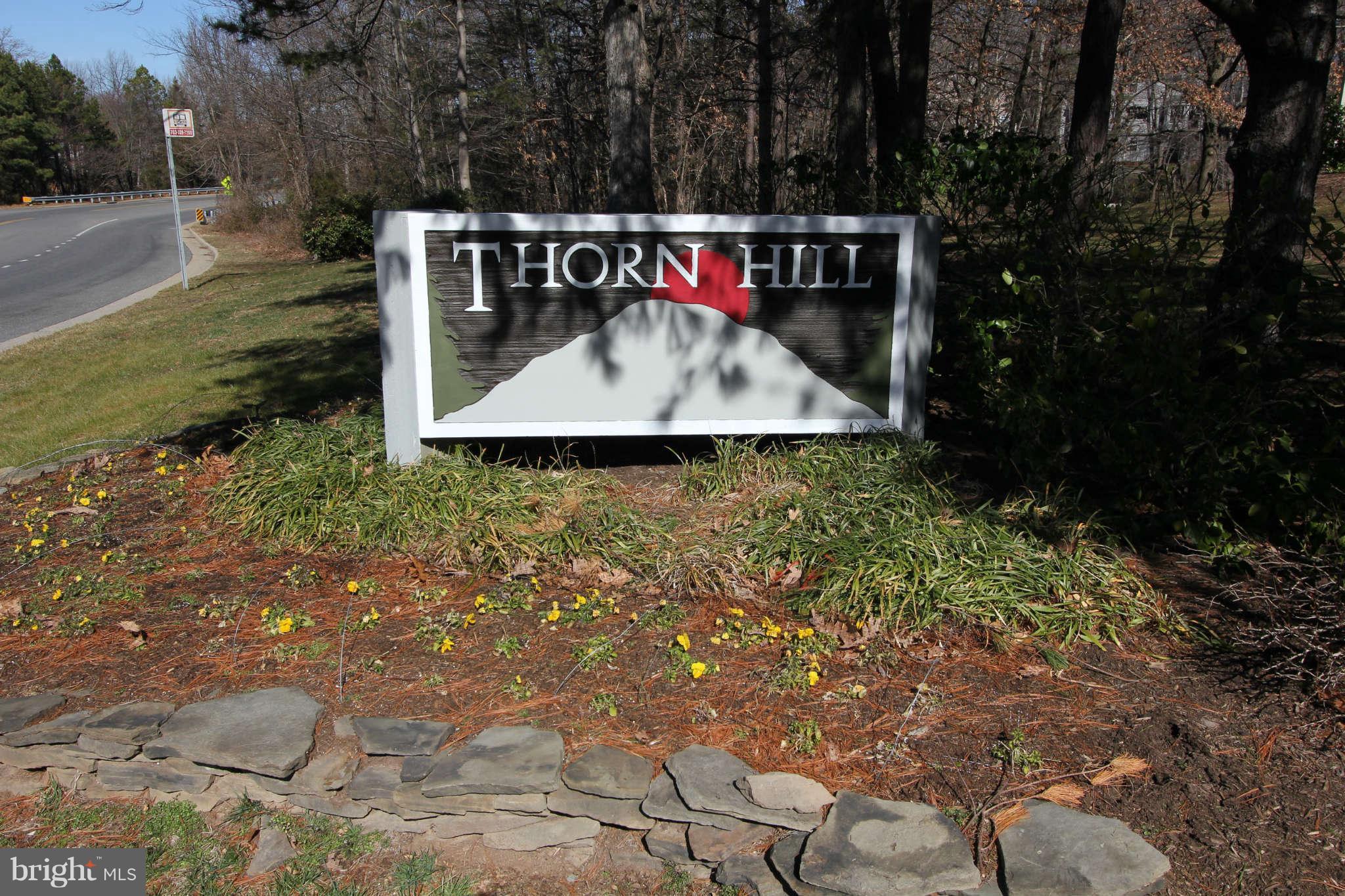 1603 Fieldthorn Drive Reston, VA 20194 - Photo 20 of 29 Community