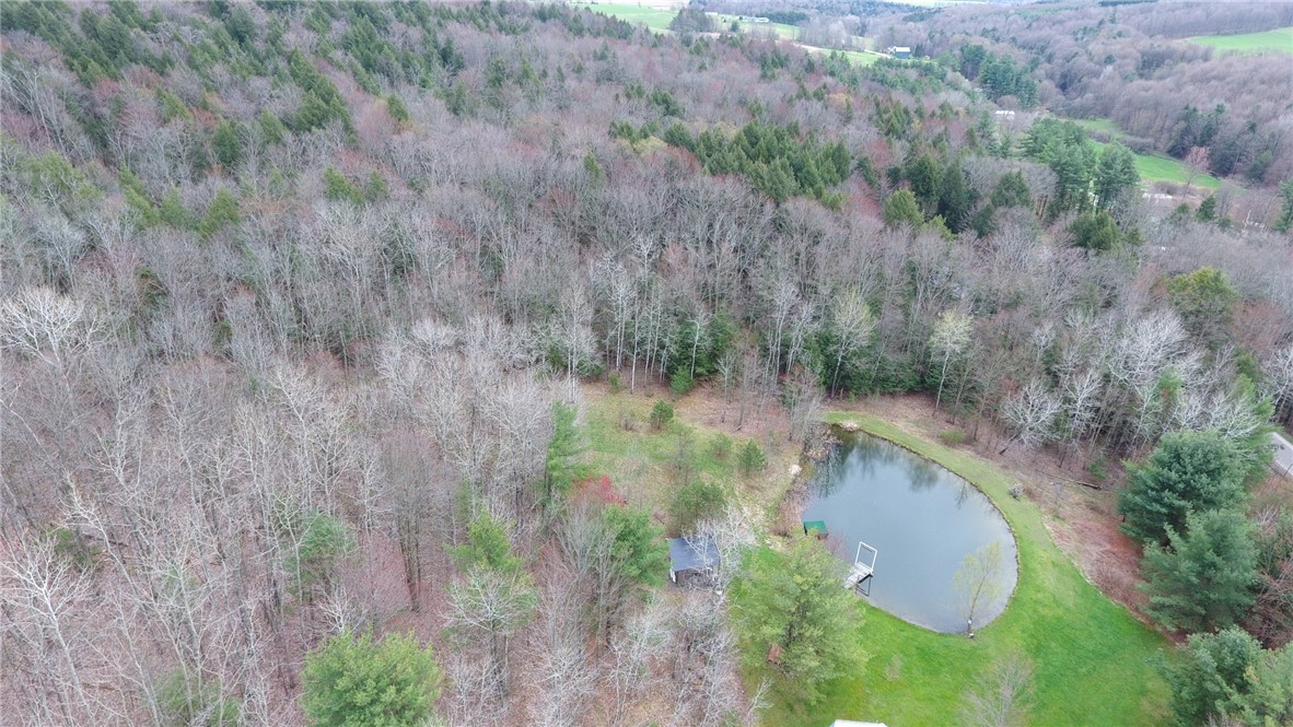 7450 Moss Road Howard, NY 14843 - Photo 40 of 42