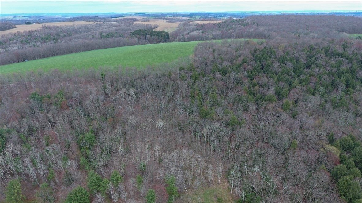 7450 Moss Road Howard, NY 14843 - Photo 42 of 42