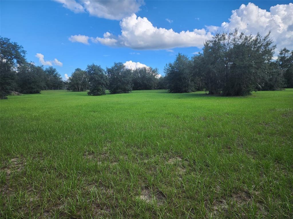 4535 West Ranger Street Beverly Hills, FL 34465 - Photo 3 of 18