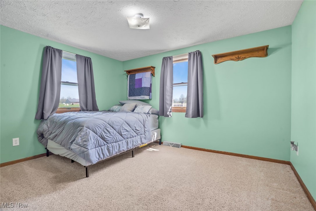 260 Barnard Road Wooster, OH 44691 - Photo 25 of 40 Bedroom with visible vents, multiple windows, and carpet flooring