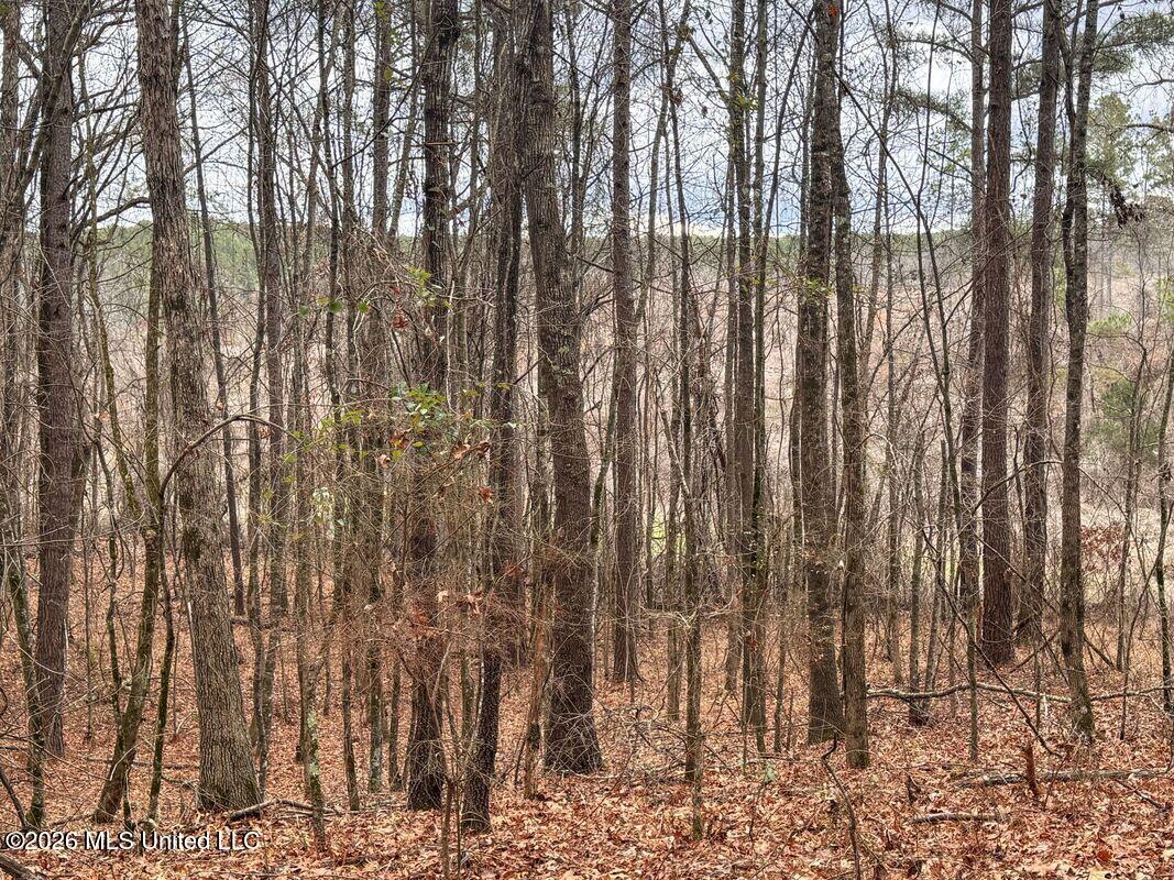 154 County Road Tillatoba, MS 38961 - Photo 34 of 58 4kgrdnyb14-orig_orig