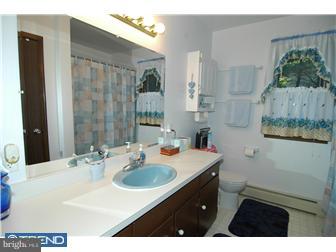 274 Blimline Road Mohnton, PA 19540 - Photo 8 of 12 Bathroom