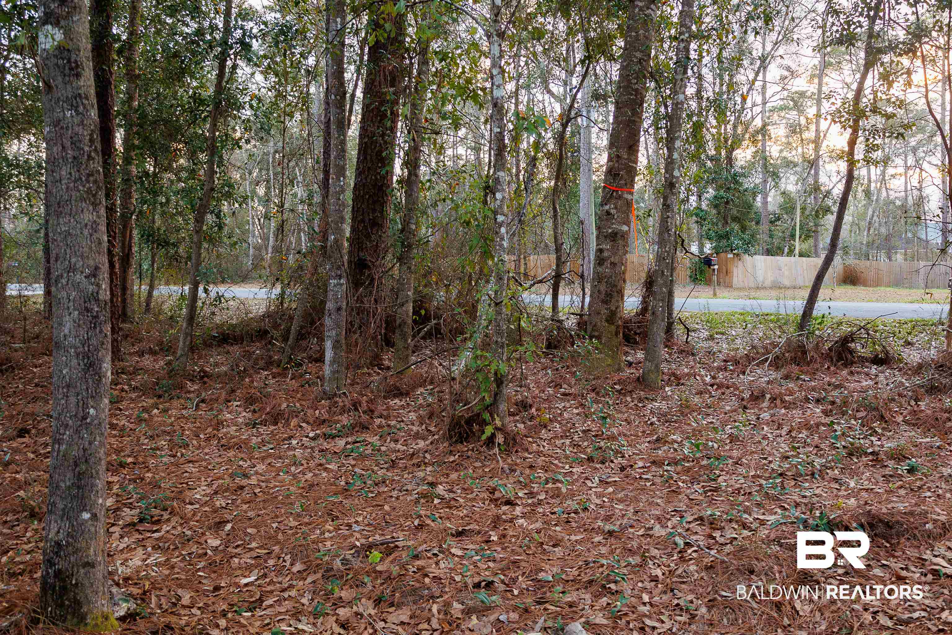 22622 Pineview Lane Foley, AL 36535 - Photo 7 of 11