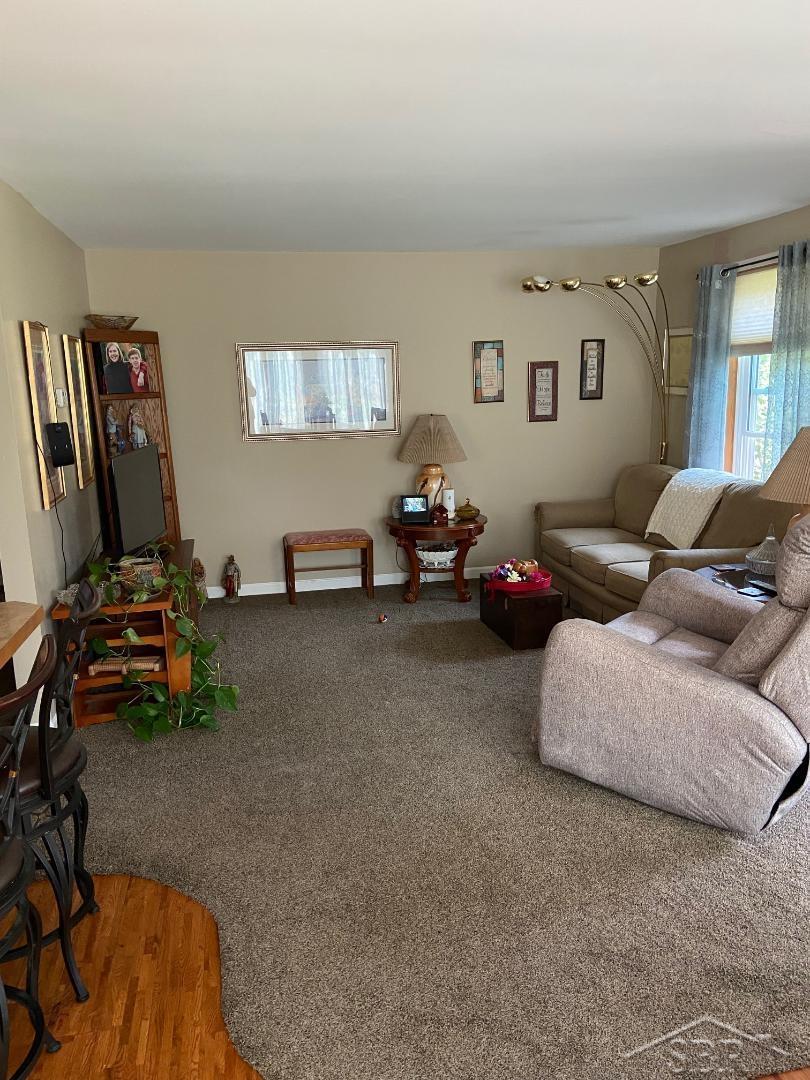 4070 South Towerline Road Bridgeport, MI 48722 - Photo 7 of 26 50090735-6.JPG