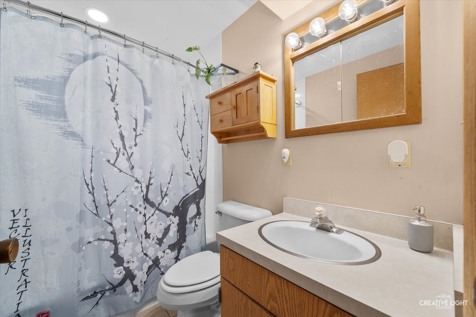 754 Haish Boulevard DeKalb, IL 60115 - Photo 15 of 20 a bathroom with a sink toilet and shower