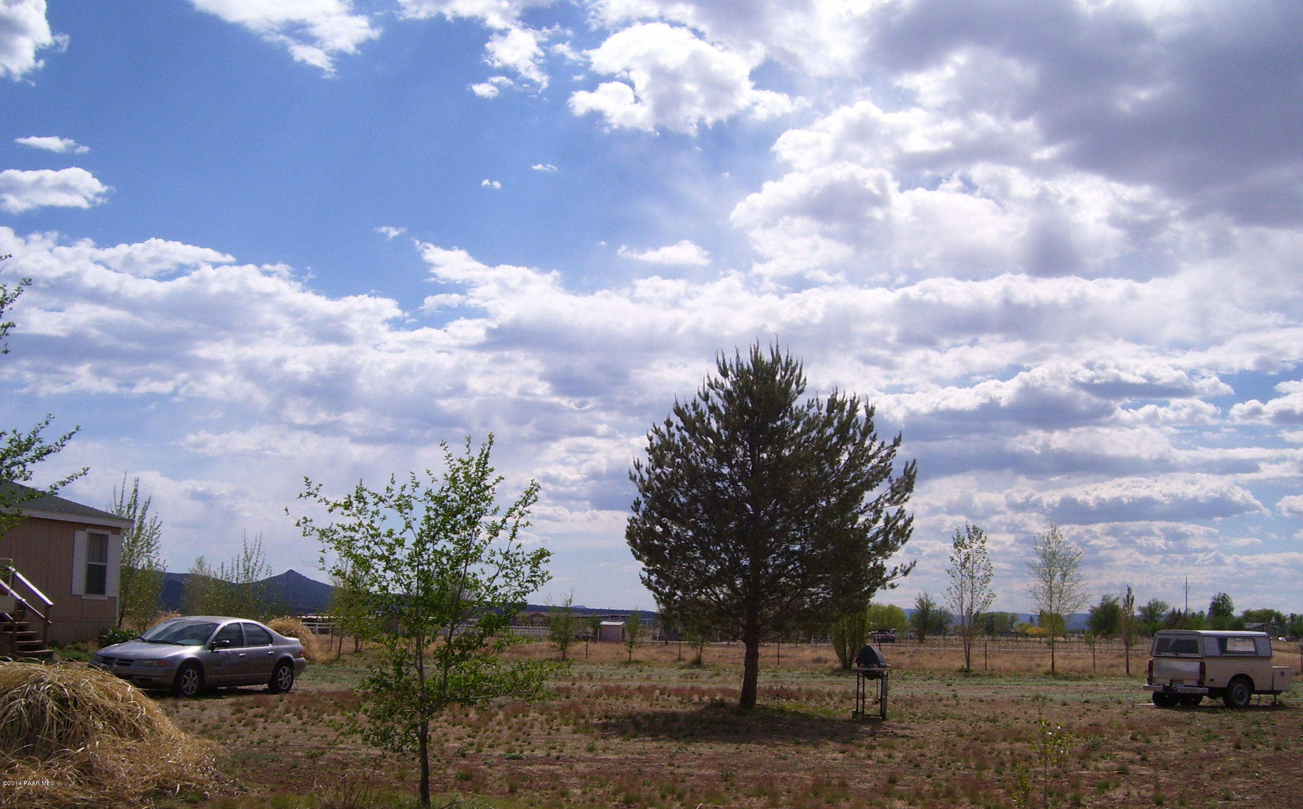 1829 West Deadwood Ranch Road Paulden, AZ 86334 - Photo 11 of 12 Tree's