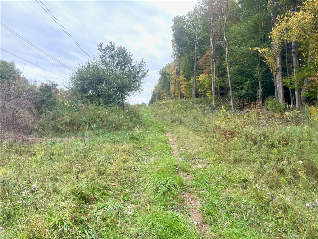Gallop Hill Road Walton, NY 13856 - Photo 18 of 48 Trail