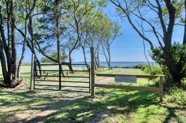 a view of park with a bench