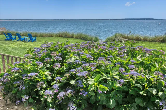 a view of a field with an ocean view