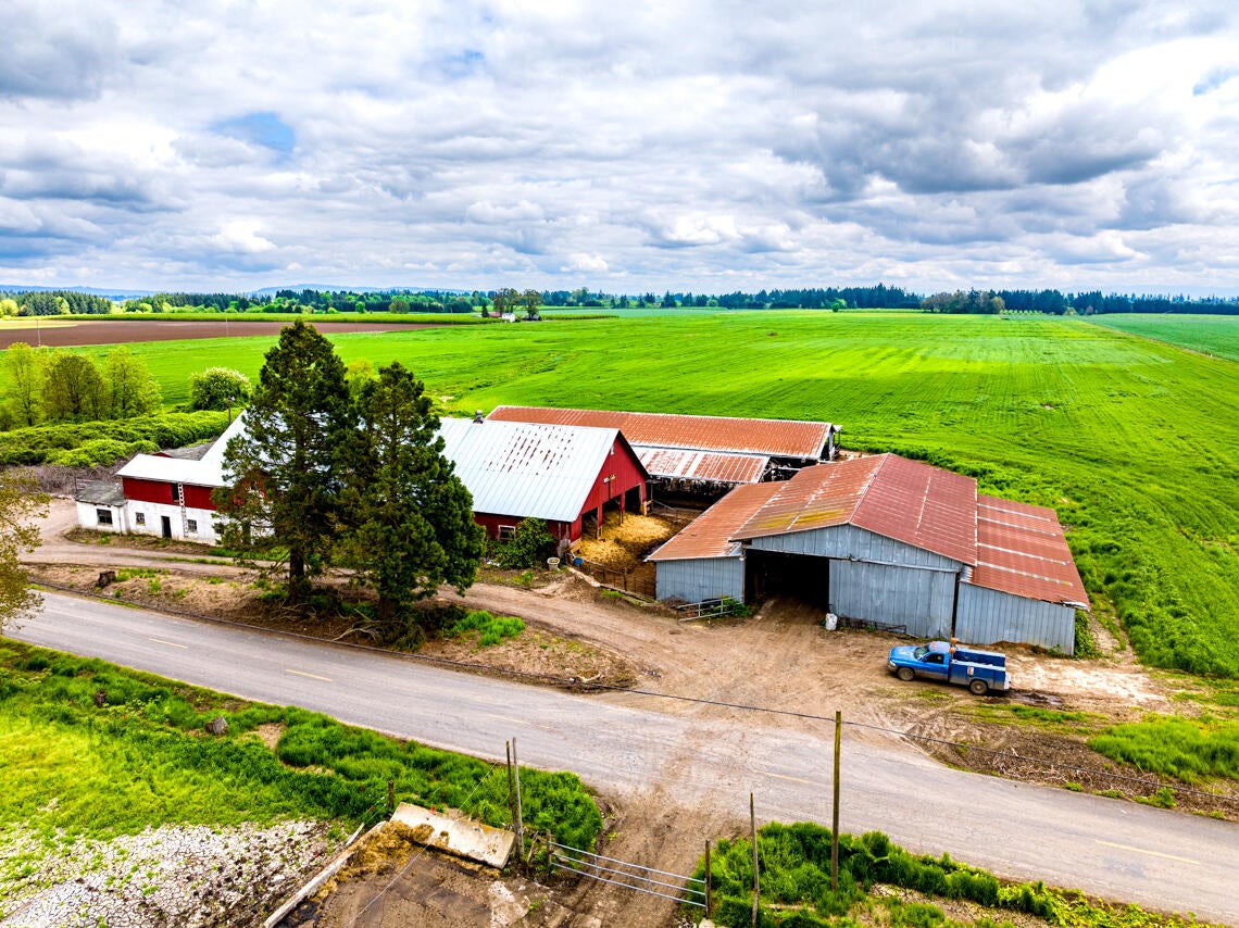10101 Southeast Webfoot Road Dayton, OR 97114 - Photo 7 of 32 10101 SE Webfoot Rd Drone MLS 8