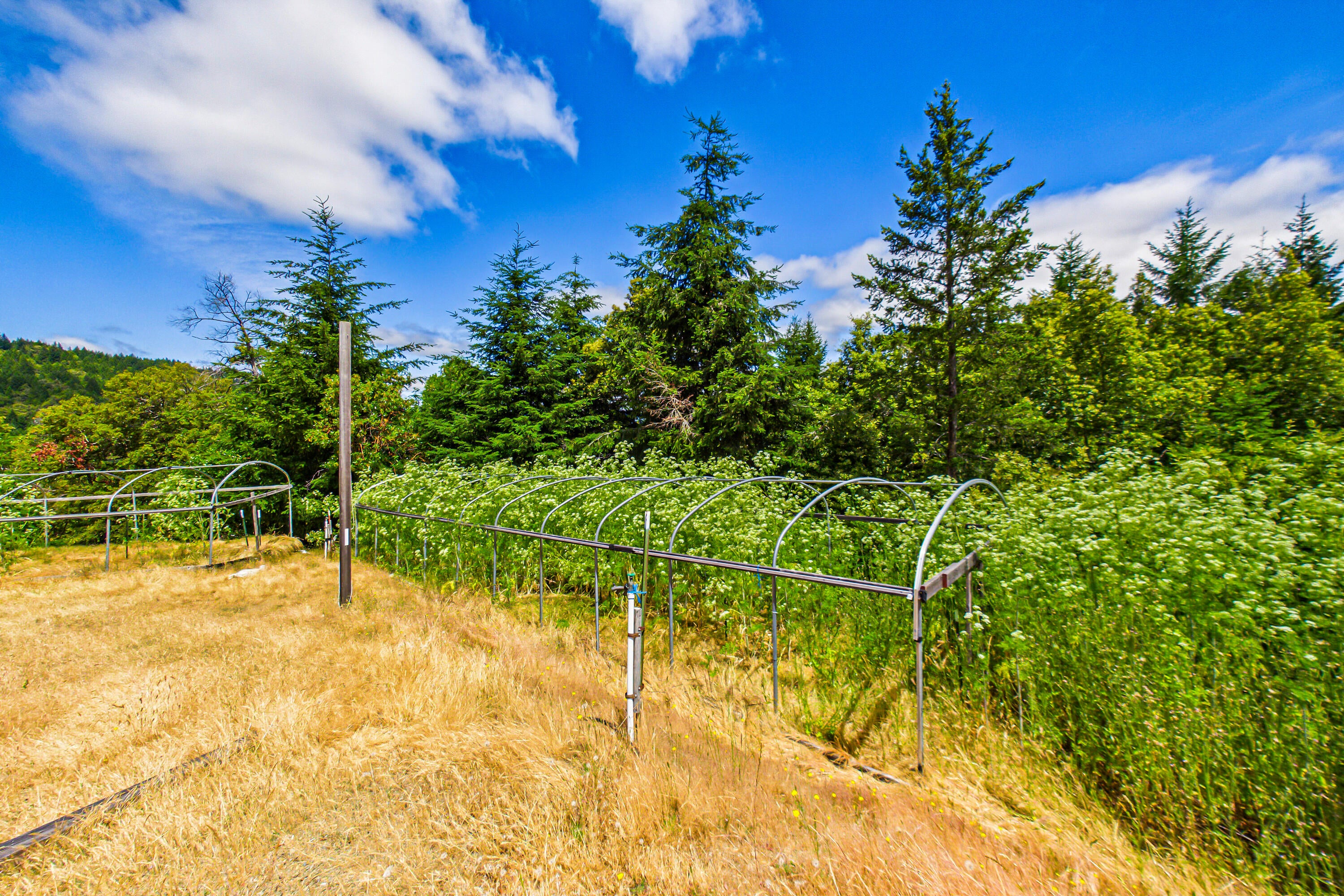 3761 Blue Rock Road Garberville, CA 95542 - Photo 83 of 85 Gallery Image 83