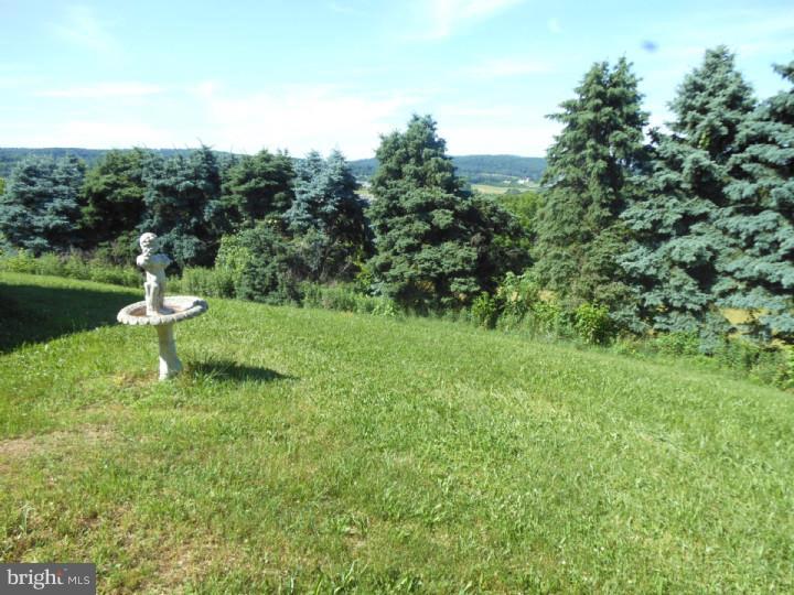 449 Weinsteiger Road Bechtelsville, PA 19505 - Photo 21 of 25 Gallery Image 21