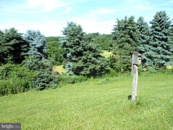 449 Weinsteiger Road Bechtelsville, PA 19505 - Photo 24 of 25 Gallery Image 24