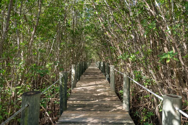 a view of a pathway of a tree with wooden fence