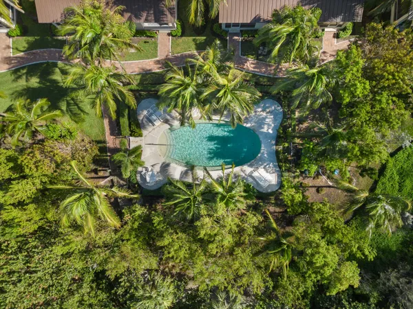 a plant with a plant