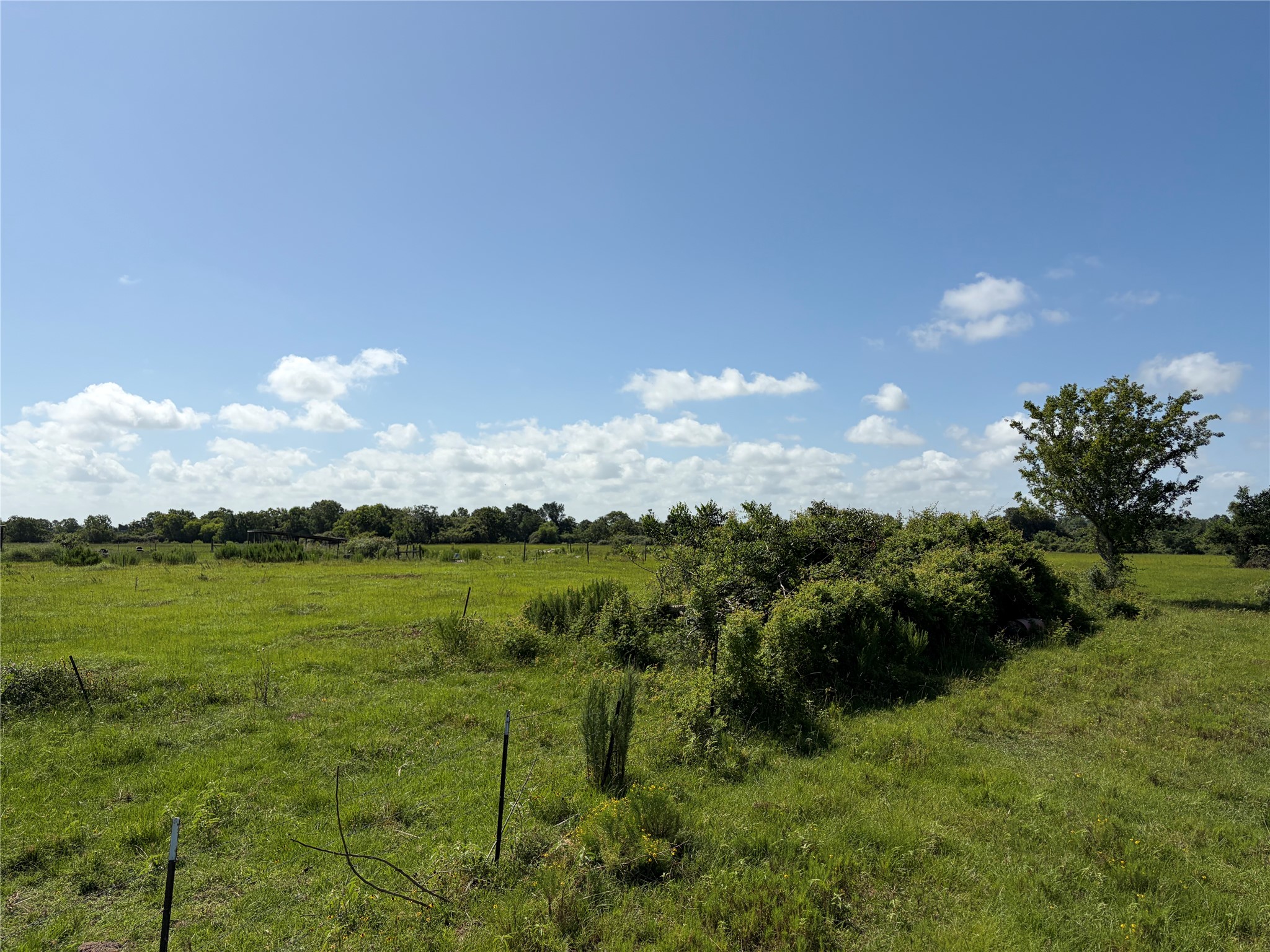 1186 Schindler Road Alleyton, TX 78935 - Photo 7 of 17