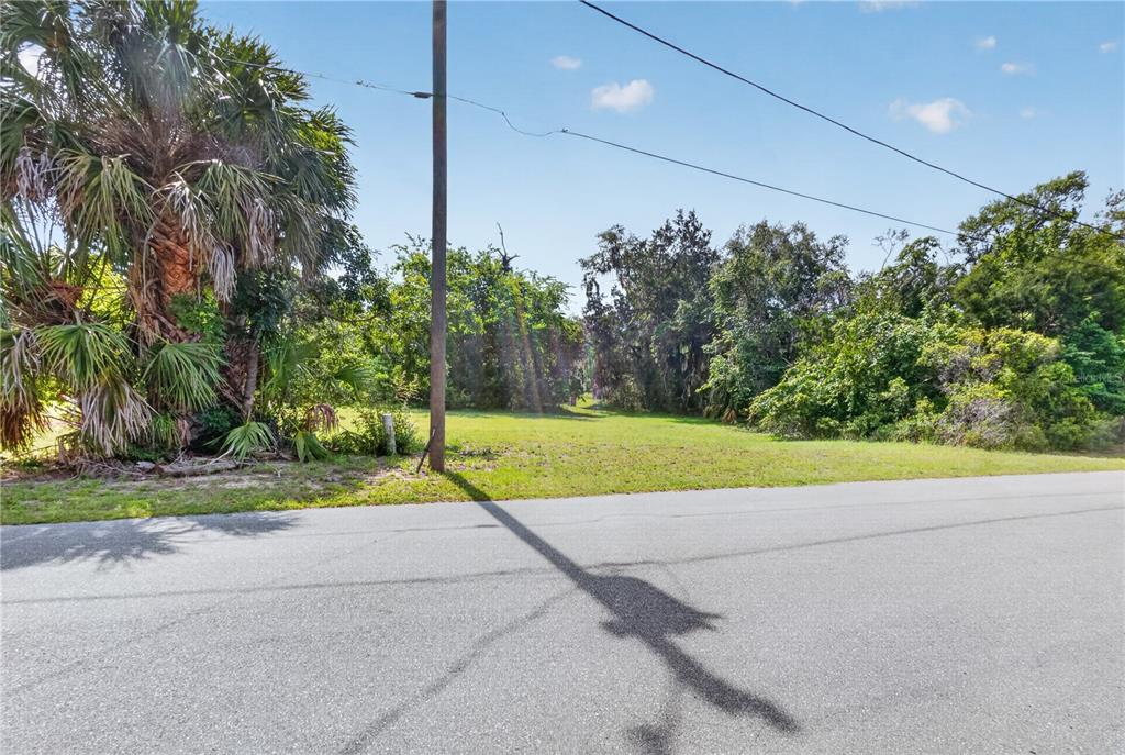 4540 South Sawgrass Circle Homosassa, FL 34448 - Photo 3 of 22 a view of outdoor space and yard