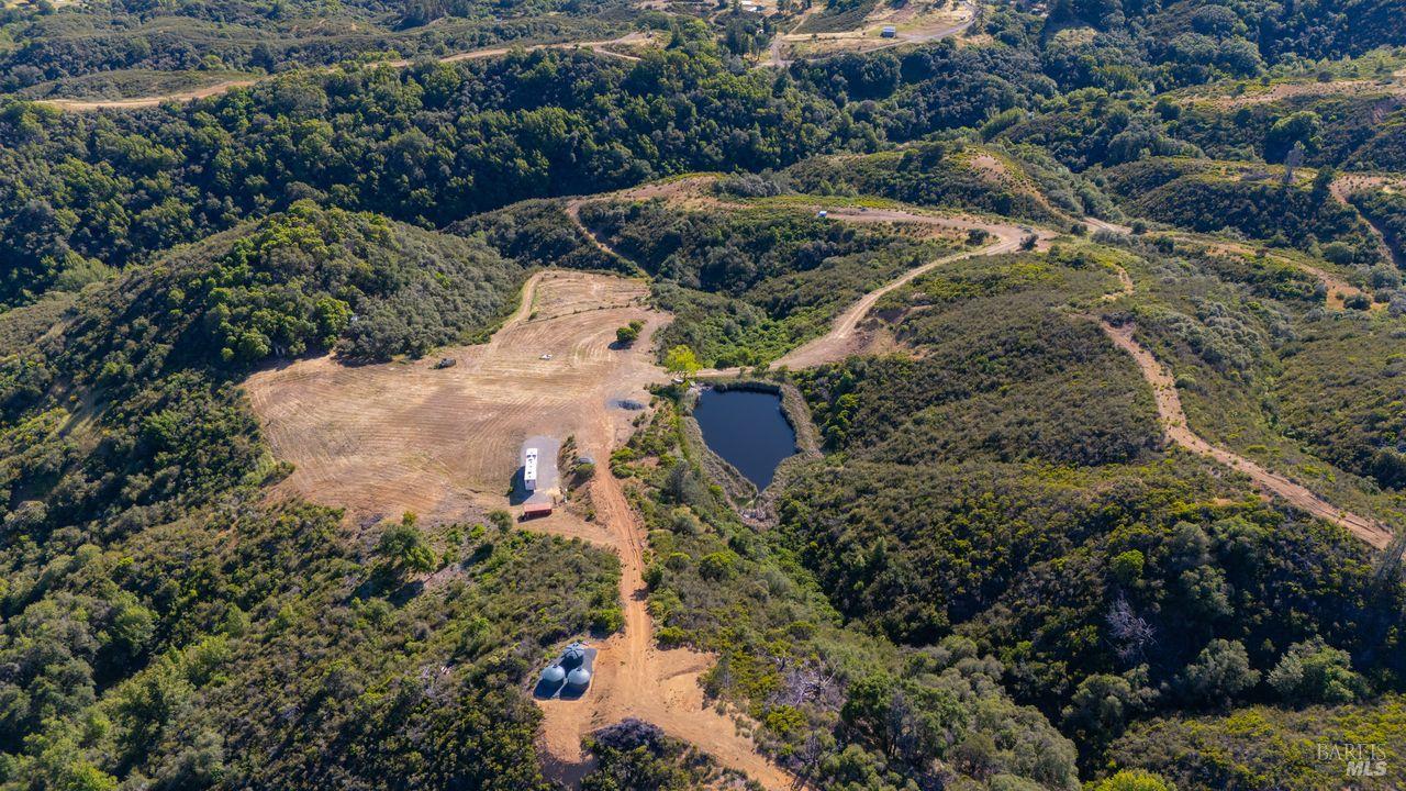 31909 Green Road Cloverdale, CA 95425 - Photo 14 of 25 a view of a yard with plants and large trees