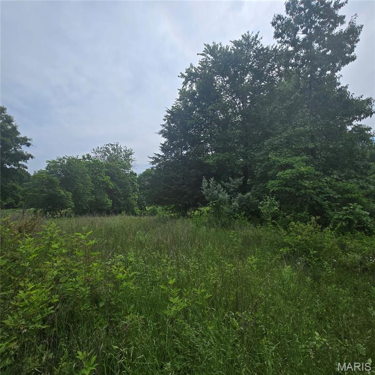 14809 East Knox Road Mount Vernon, IL 62864 - Photo 8 of 31