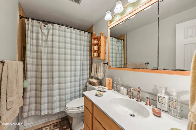 a bathroom with a sink a toilet and shower curtain