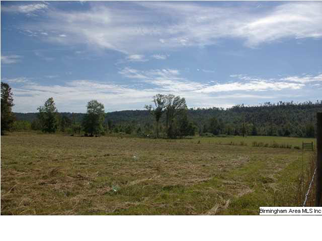 495 Jackson Taylor Road Ashville, AL 35953 - Photo 14 of 28