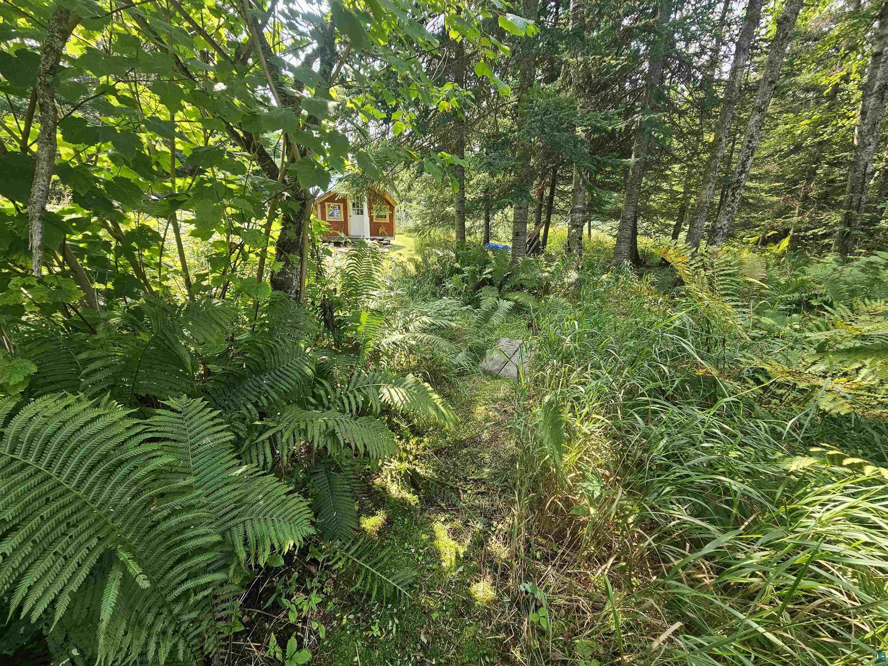 89065 Bark Point Road Herbster, WI 54844 - Photo 16 of 19 Gallery Image 16