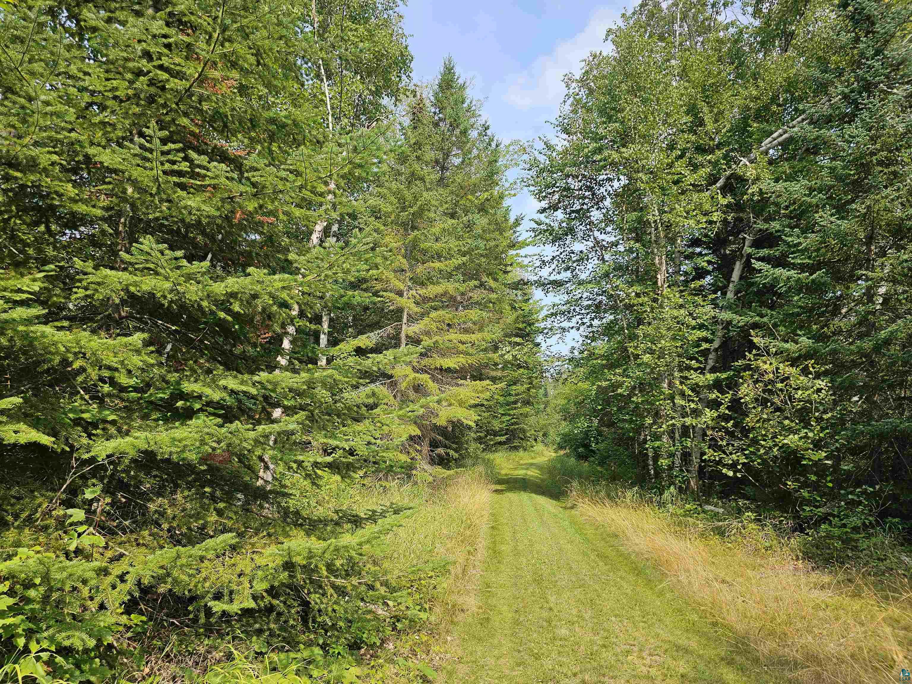 89065 Bark Point Road Herbster, WI 54844 - Photo 10 of 19 Driveway