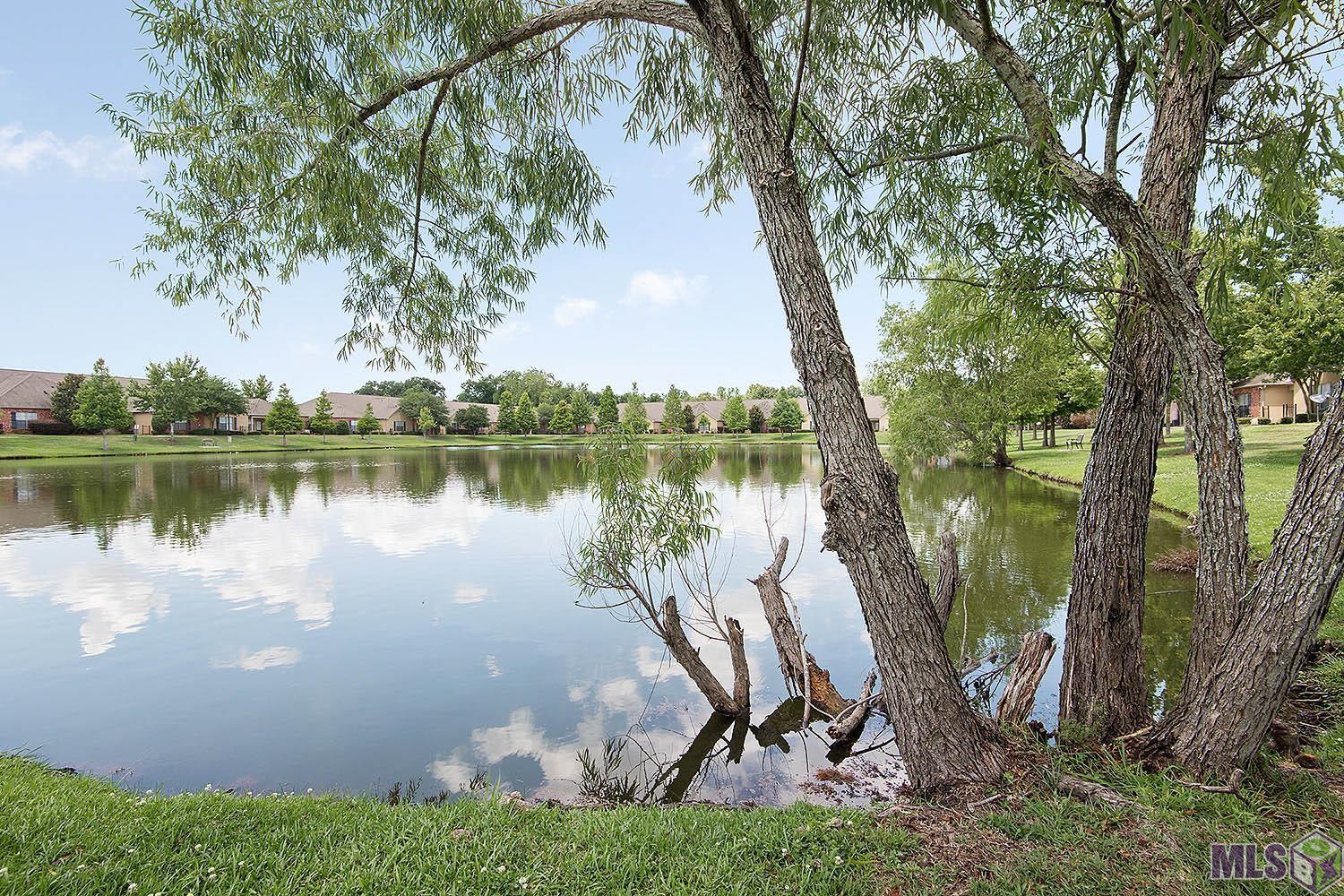 809 Summer Breeze Drive, Unit 903 Baton Rouge, LA 70810 - Photo 4 of 14