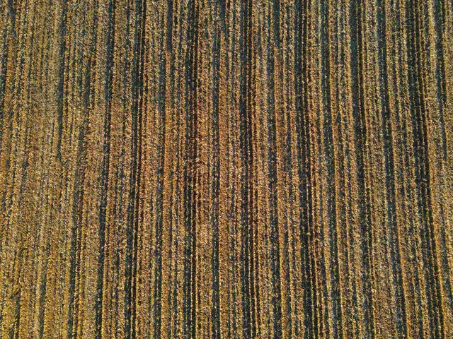 a view of a lake view