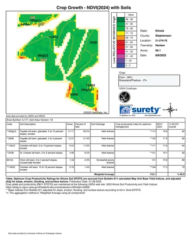 a view of a back yard