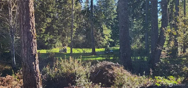 a view of a back yard