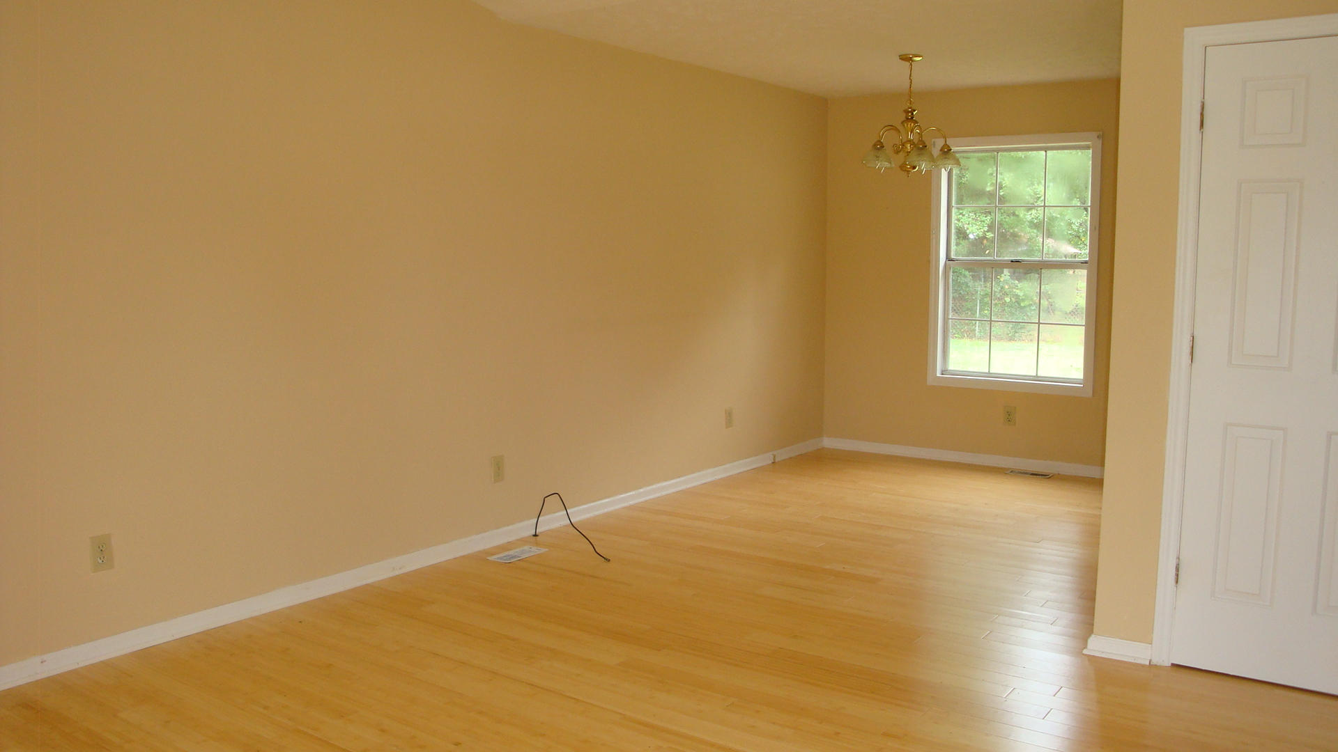 211 Crestmont Drive Rockingham, NC 28379 - Photo 3 of 7 DSC08282