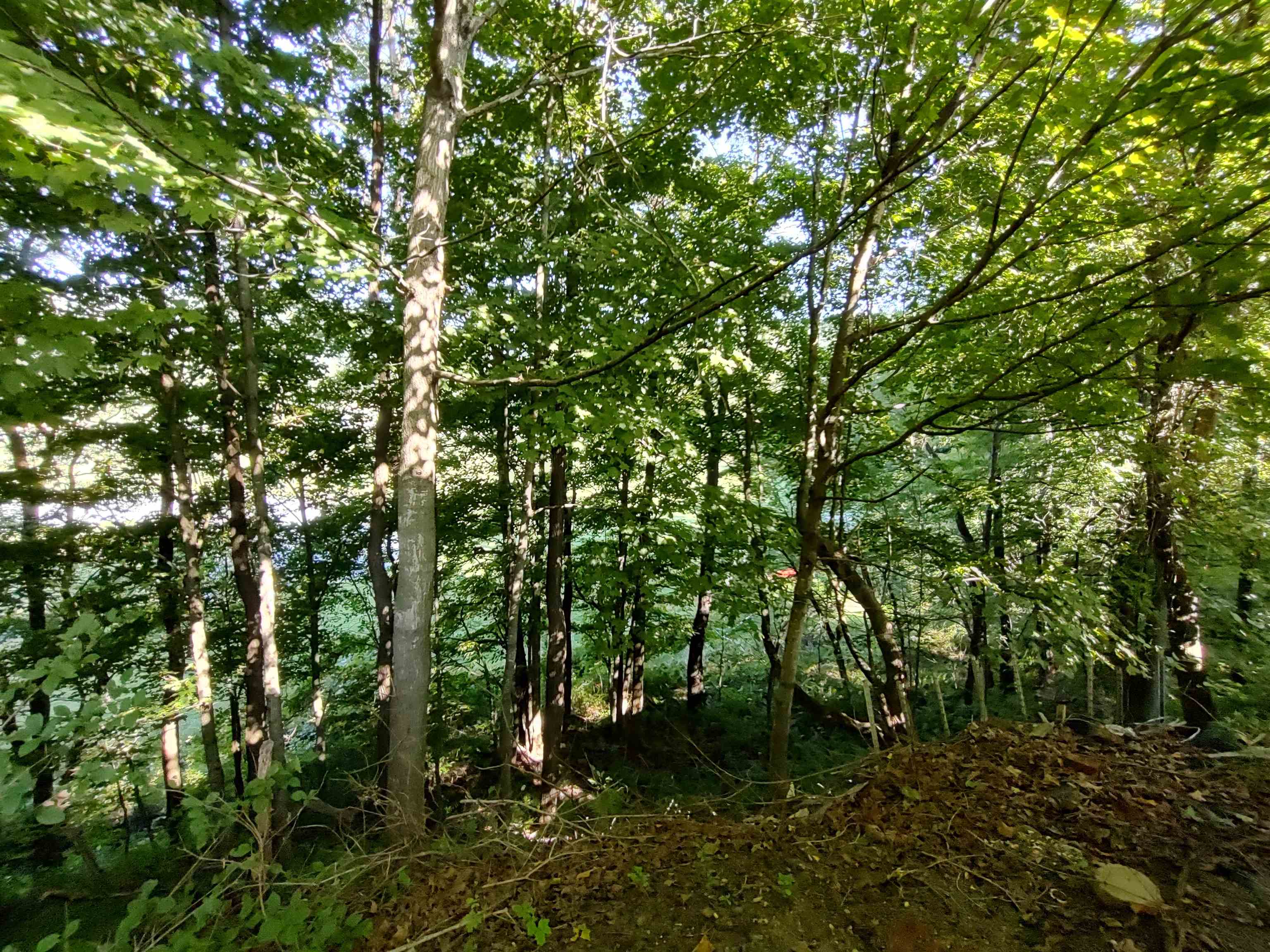 178 Church Street Bethel, VT 05032 - Photo 13 of 21